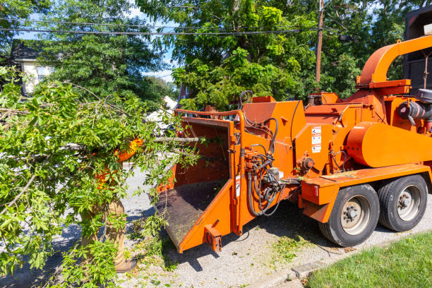 Best Tree Trimming Near Me  in Stockton, UT